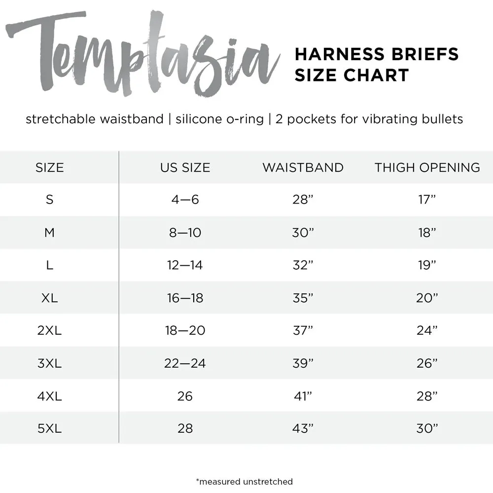 Temptasia Harness Briefs - 2 x Large Black