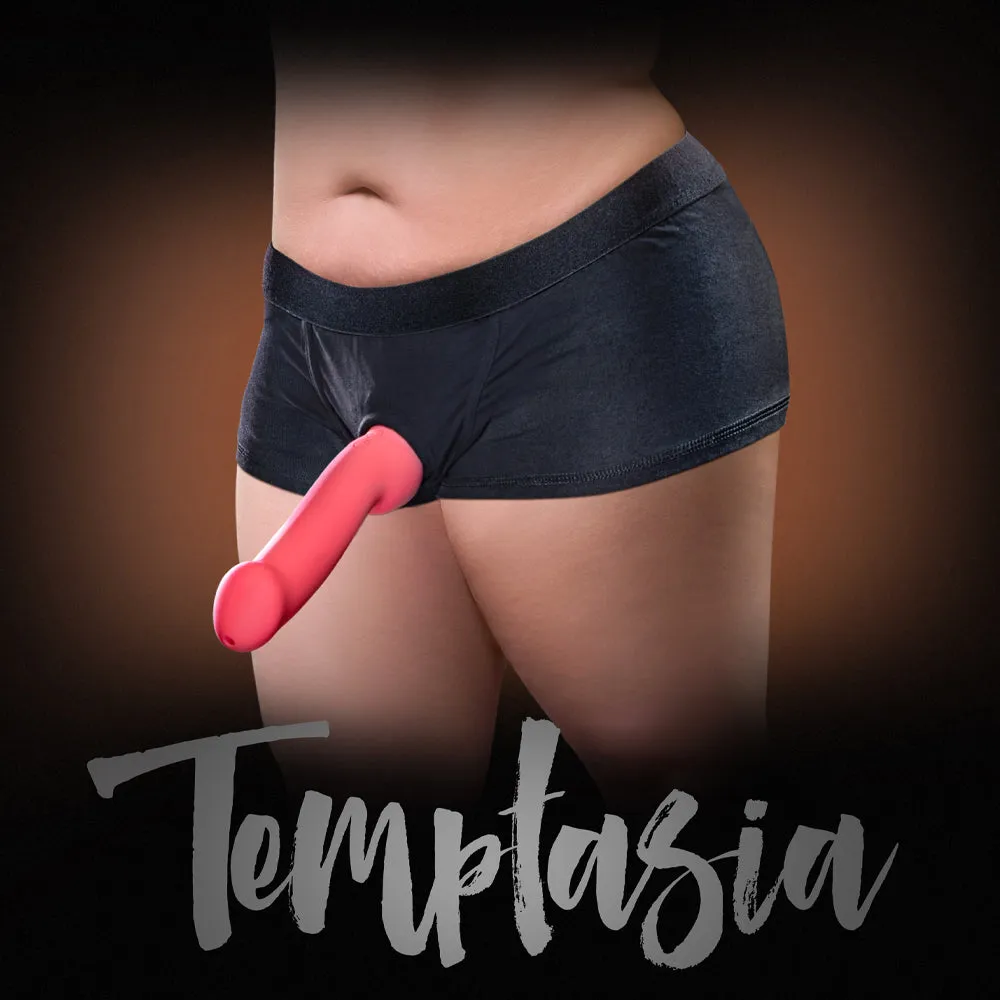 Temptasia Harness Briefs - 2 x Large Black