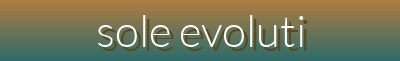 Step into Comfort & Style: Innovative Sneakers, Loafers & More | Sole Evolution